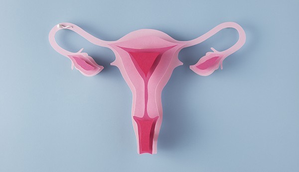 Endometriose e endometrite podem causar infertilidade em pessoas que menstruam