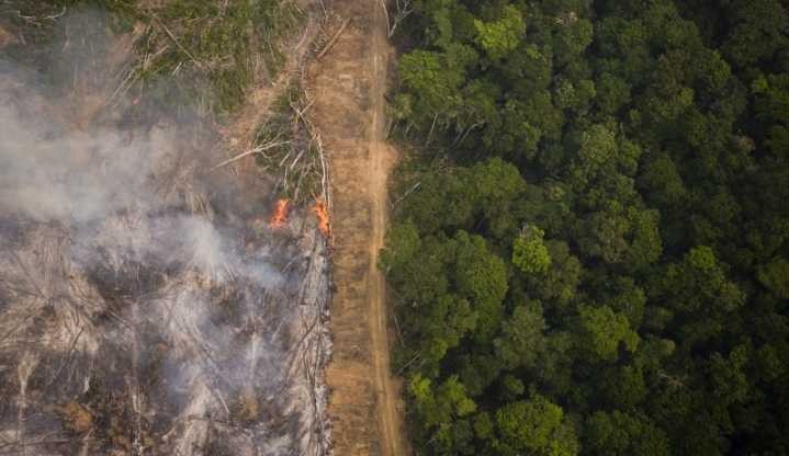 Alertas de desmatamento na Amazônia passam de mil km² e batem recorde