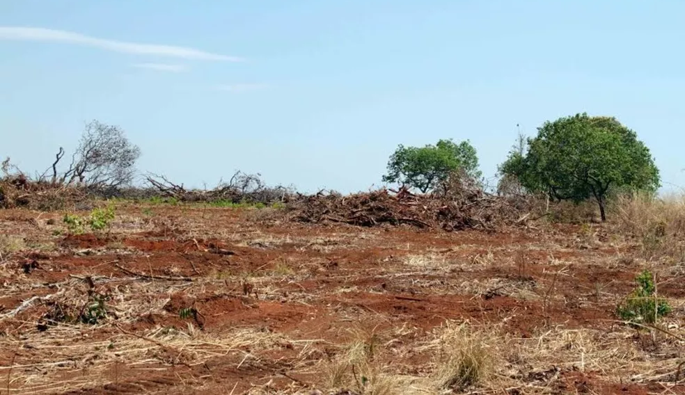 Mais de 300 donos de terras são suspeitos de desmatamento ilegal no Tocantins