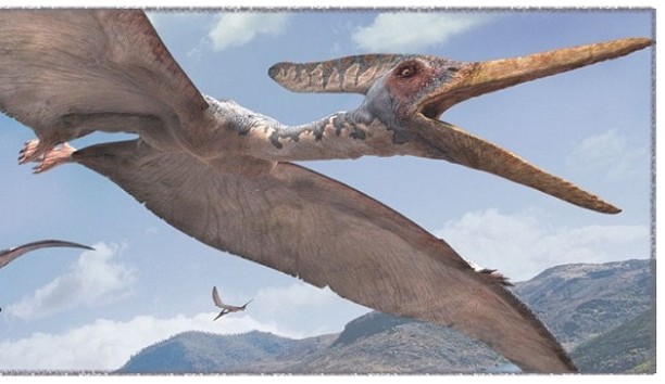 Réptil pré-histórico encontrado na Argentina é o maior da espécie de Pterossauros 
