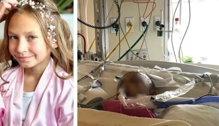 Crianças de 09 anos sobrevive a ataque de onça puma nos Estados Unidos  