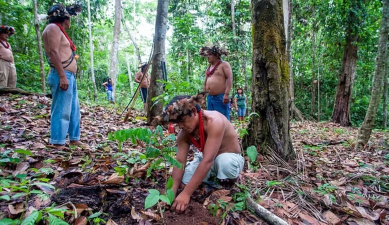 Arqueólogo explica sobre teorias em torno da lenda sobre a “cidade perdida no Amazônia”