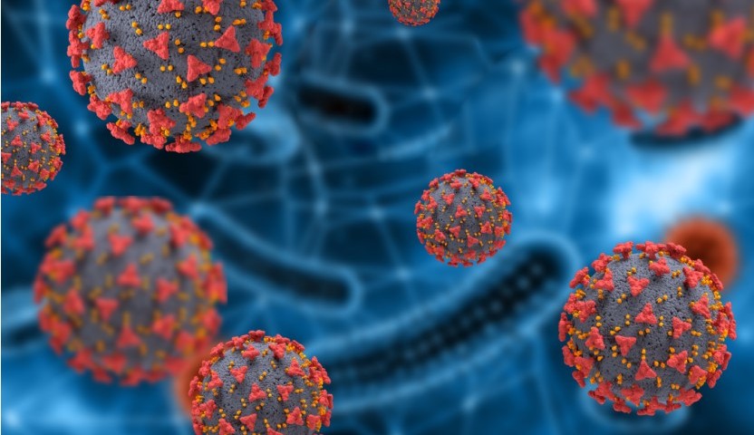 Estudo da USP e Unicamp revela como o vírus da Covid-19 usa células humanas para se replicar