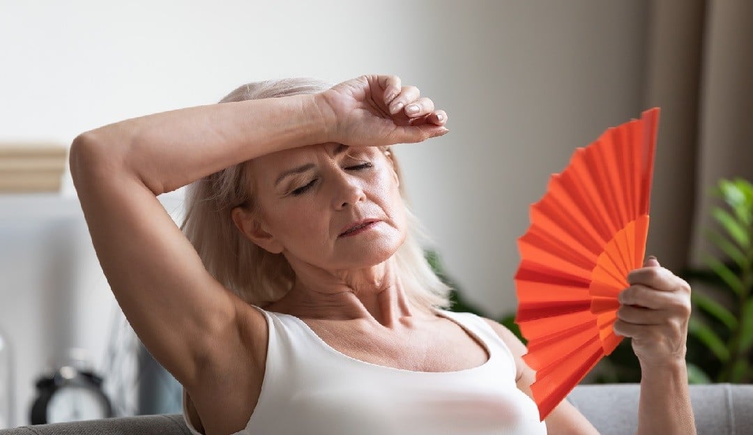 Menopausa: o que é, tratamento e formas de prevenção dos sintomas