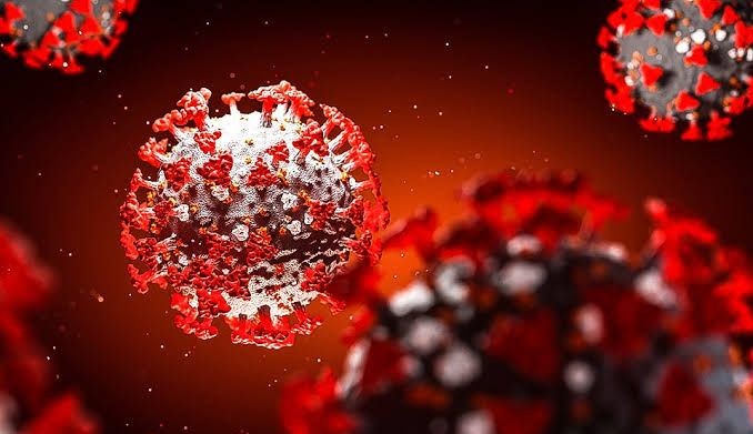 Cientistas descobrem novo vírus que pode ser semelhante ao da COVID-19