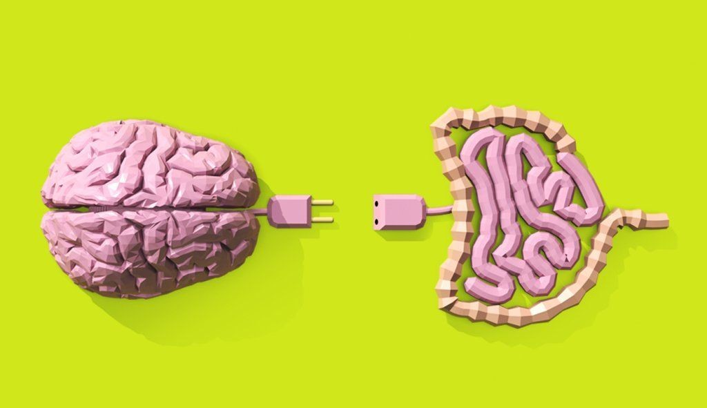 Estudos comprovam a conexão entre o intestino e a mente