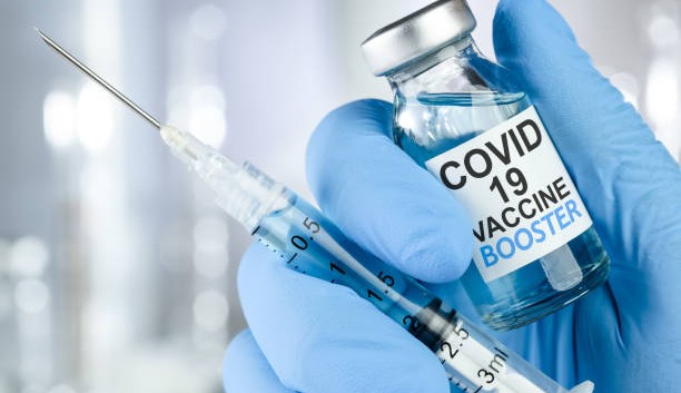 ANVISA deverá liberar uso de nova vacina bivalente contra covid 19 