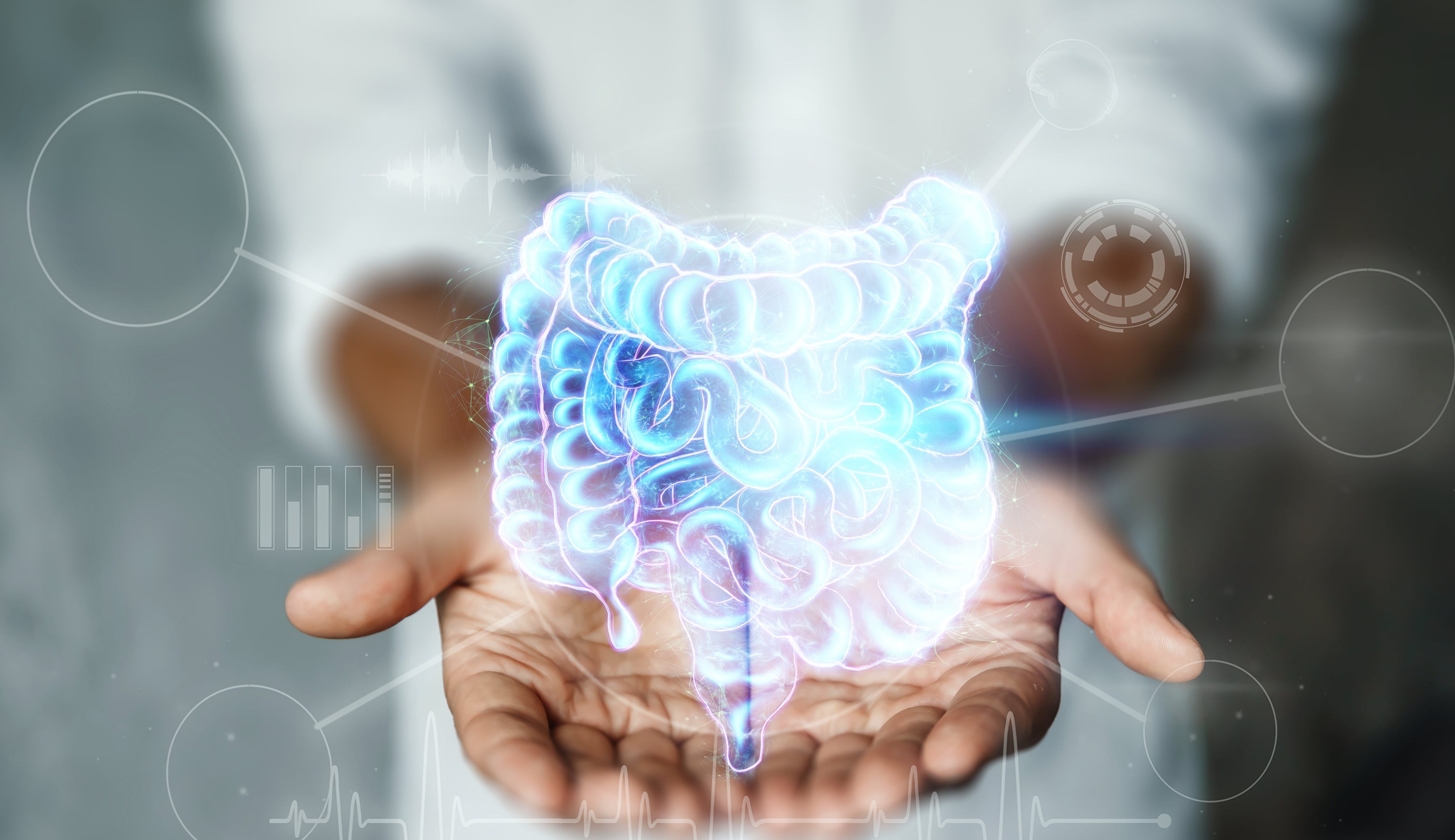 Saúde intestinal: veja a importância e como conseguir?