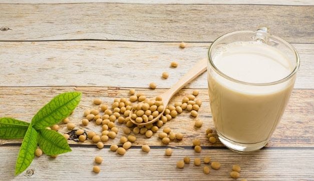 Saiba como a proteína de soja contribui para uma dieta equilibrada?