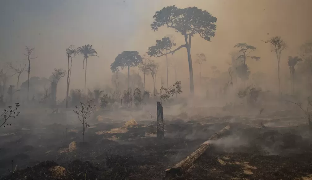 Noruega acredita que desmatamento no Brasil vai diminuir