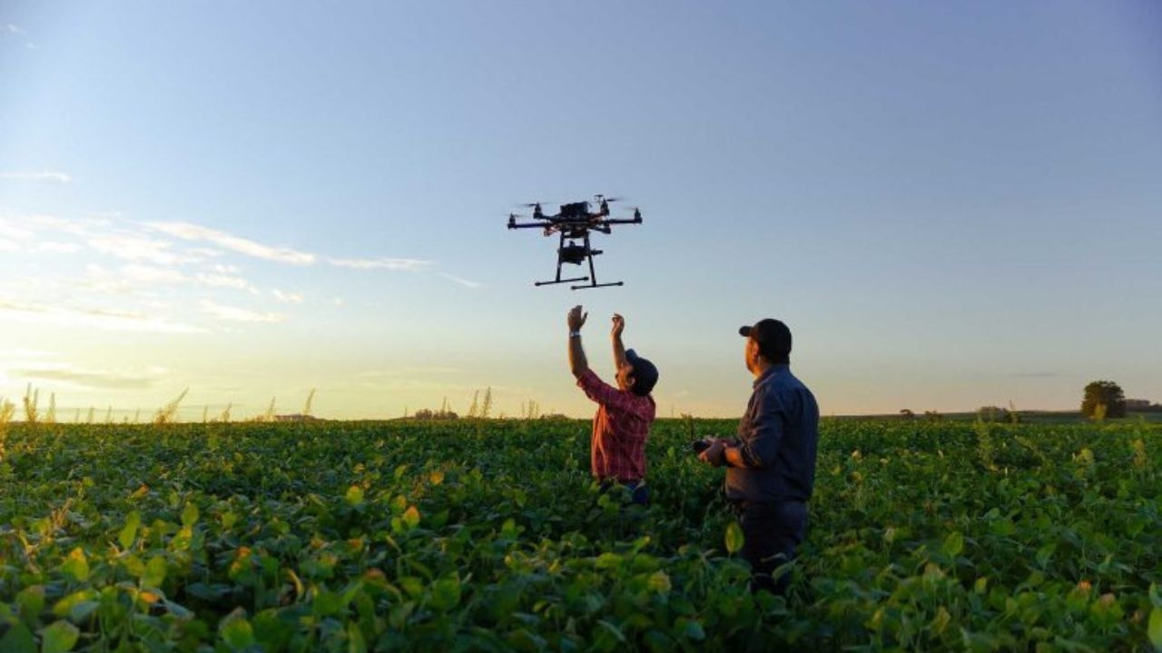 Tecnologia de dados pode revolucionar a indústria do agro