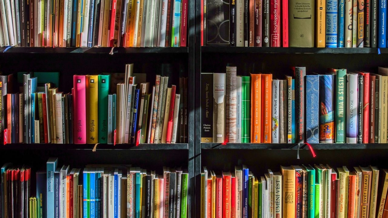 Governo de SC determina censura de livros em escolas públicas