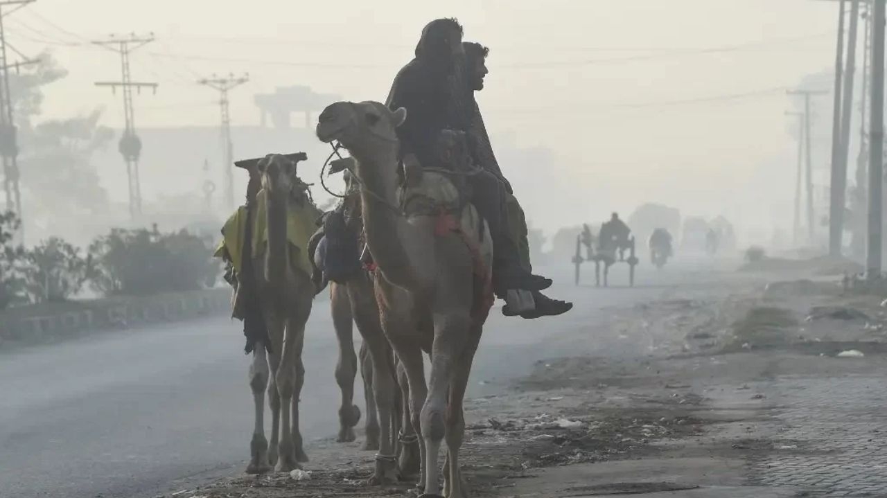Aumento da poluição causa fechamento de megacidade no Paquistão