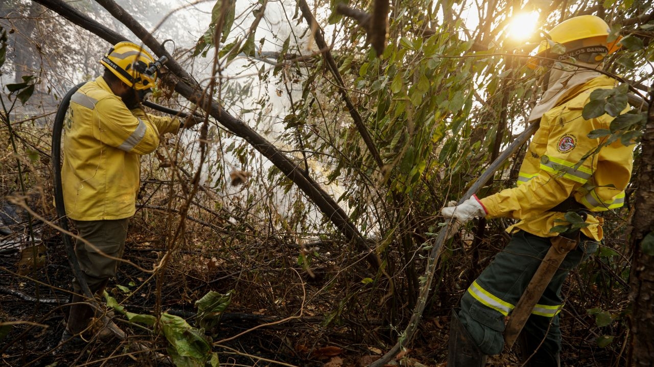 Incêndios do Pantanal em Mato Grosso do Sul foram extintos