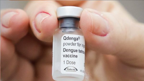 Vacina da dengue
