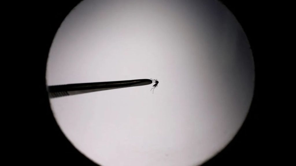 Casos de dengue aumentam no Rio e governo do estado apresenta plano de combate