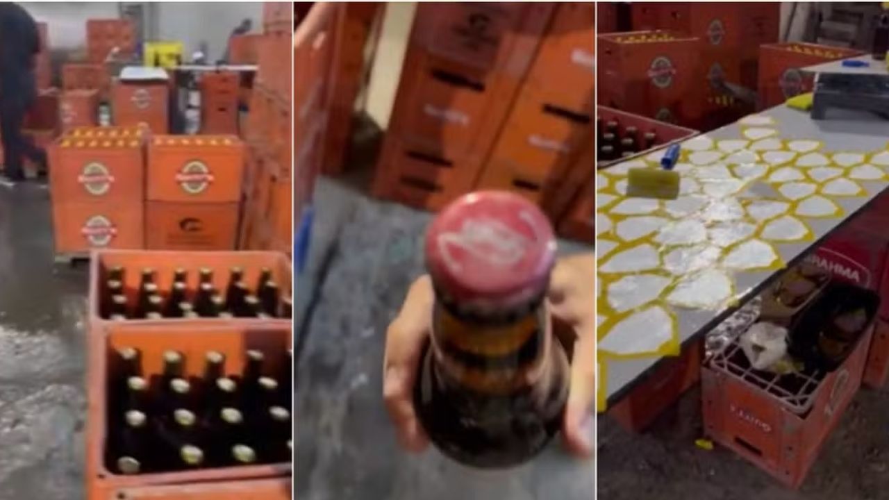 Colagem com fotos de cervejas falsificadas apreendidas