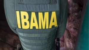 Servidores do Ibama entram em greve por reajuste salarial