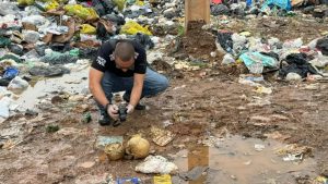 Três crânios são encontrados em menos de 24h em Governador Valadares