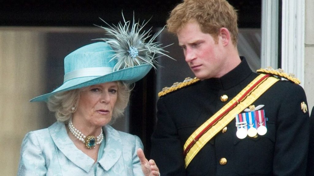 Príncipe Harry evita rainha Camilla durante visita real