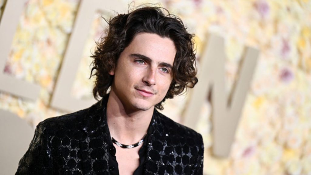 Timothée Chalamet assina contrato com a Warner Bros. para produzir e protagonizar novos filmes 