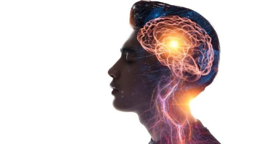 Estudo identifica fatores chave para envelhecimento precoce do cérebro