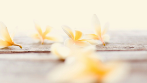 Perfume de baunilha está de volta com força total no mundo da beleza