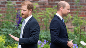 Fontes apontam tentativa de reconciliação por parte de Harry com William