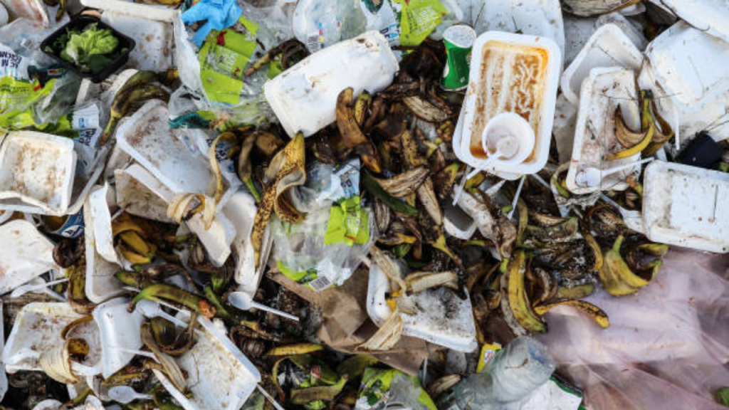 Em relatório, ONU revela que mais de 1 bilhão de alimentos são desperdiçados no mundo