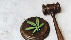 STF adia julgamento sobre a descriminalização do porte de maconha