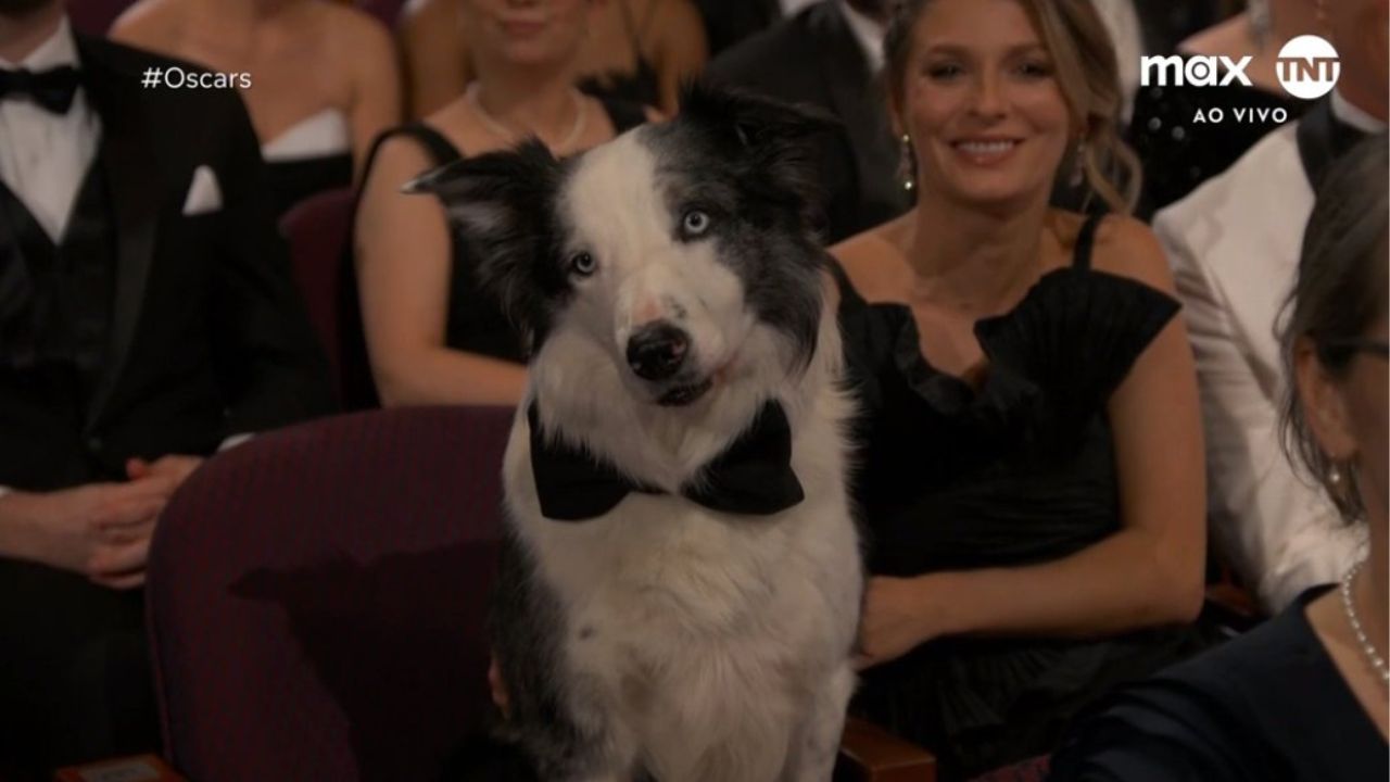 Messi, cachorro de "Anatomia de uma Queda", durante o Oscar 2024