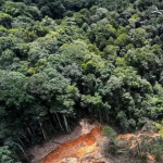 Floresta Amazônica