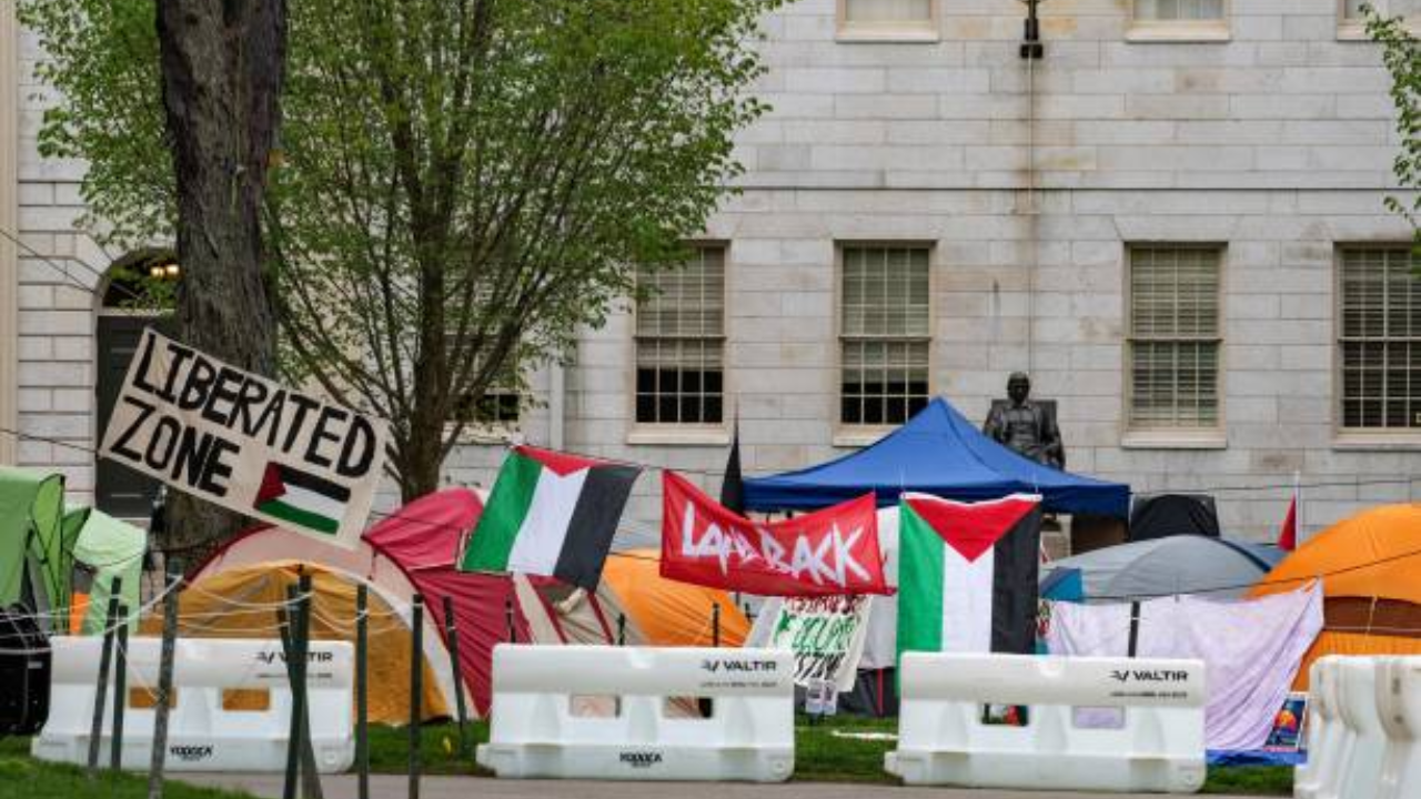 Acampamento pró-palestina em Harvard