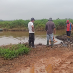 Plantação de arroz destruída.