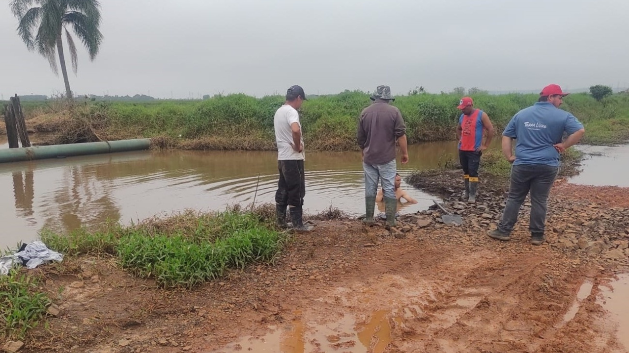 Plantação de arroz destruída.