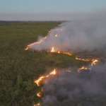 PF instala comitê de crise para apurar origem dos incêndios no Pantanal