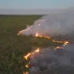 PF instala comitê de crise para apurar origem dos incêndios no Pantanal