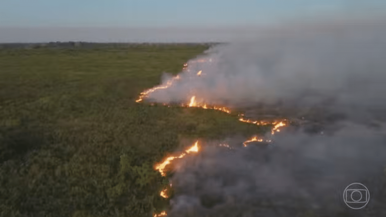 PF instala comitê de crise para apurar origem dos incêndios no Pantanal