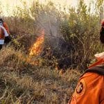 Incêndios no Pantanal