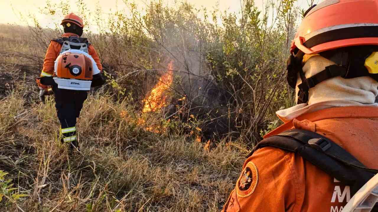 Incêndios no Pantanal