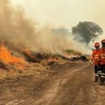 incêndios florestais no pantanal