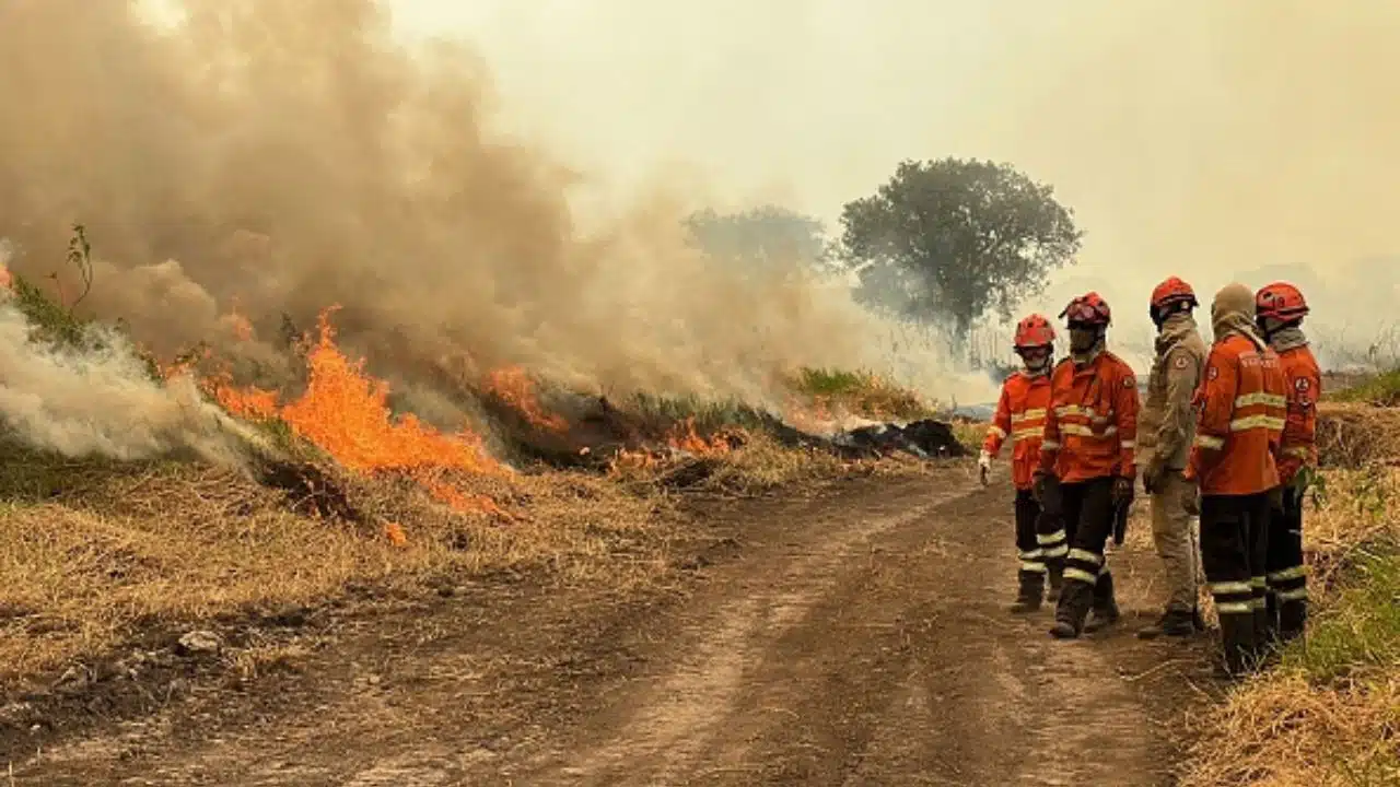 incêndios florestais no pantanal