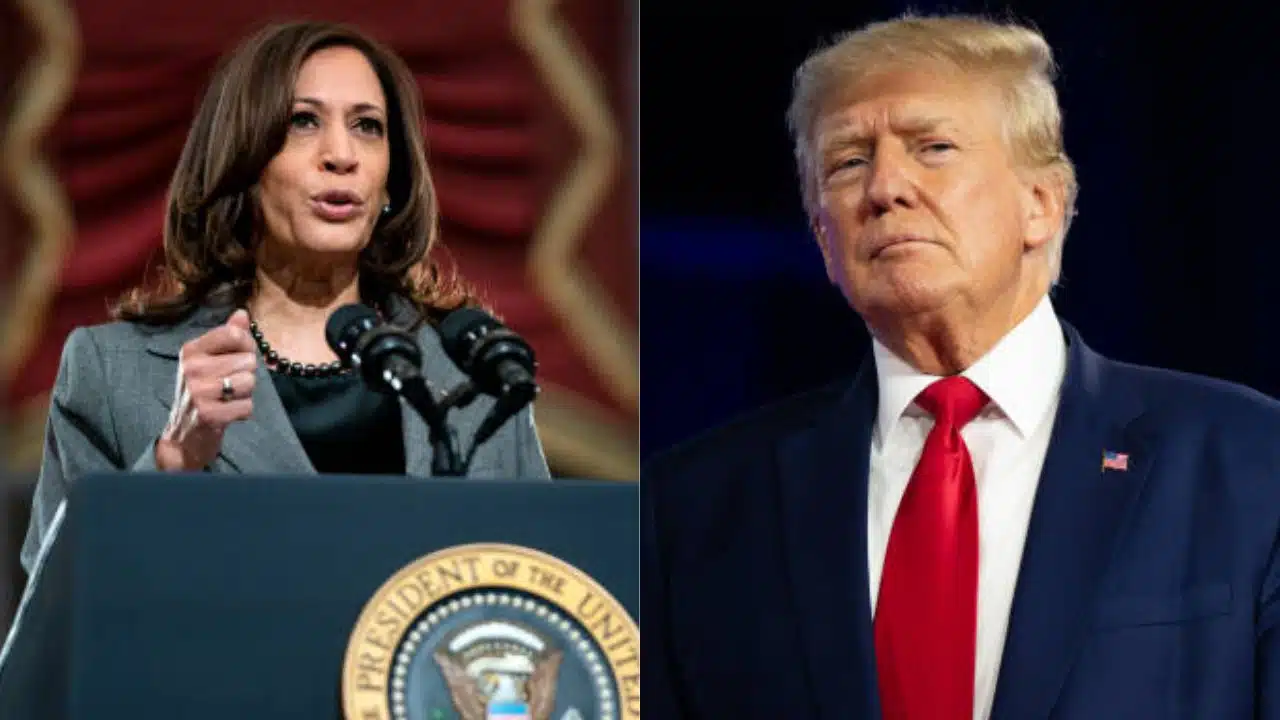 Pesquisa aponta empate técnico entre Kamala e Trump