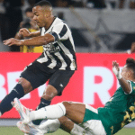 Foto Destaque: jogadores (reprodução/Vítor Silva/Botafogo)