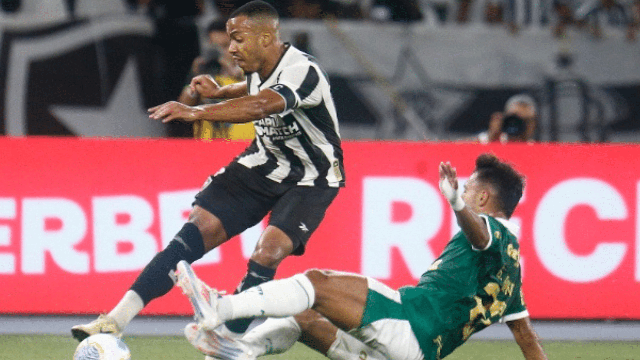 Foto Destaque: jogadores (reprodução/Vítor Silva/Botafogo)