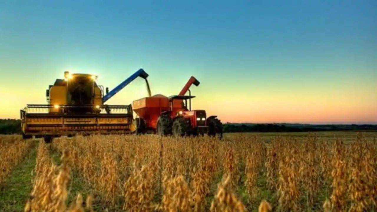 Máquina agrícola fazendo a colheita