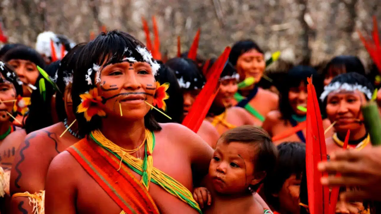 Mortes em território Yanomami estão há 1 ano sem atualizações