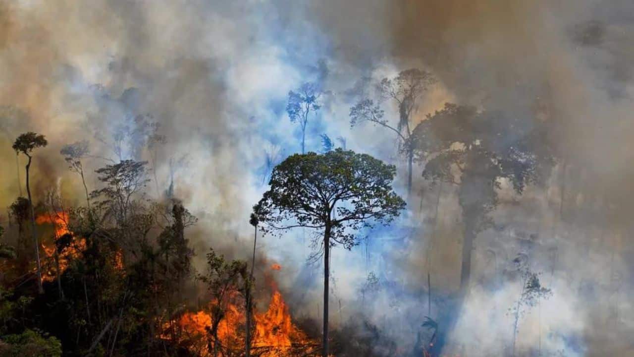 Queimada ilegal na Amazônia