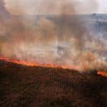 FAB-lança-336-mil-litros-de-água-no-combate-às-queimadas-no-Pantanal