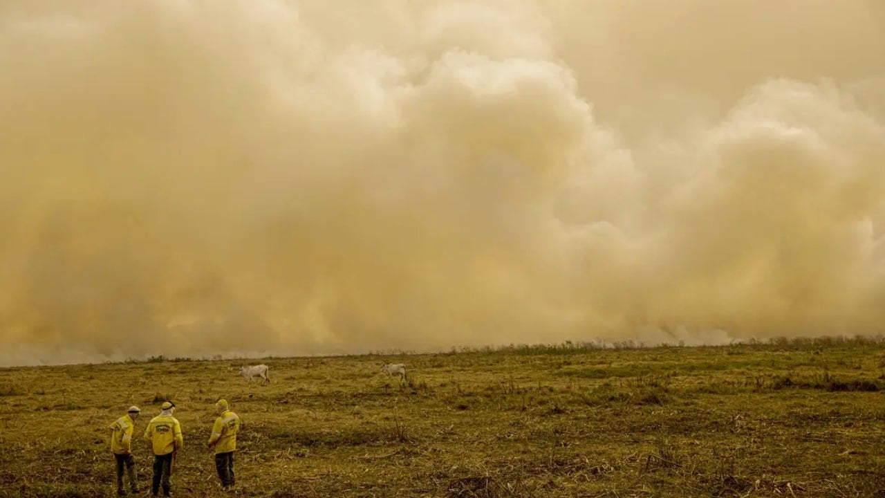 Grandes incêndios voltam a acontecer na região do Pantanal